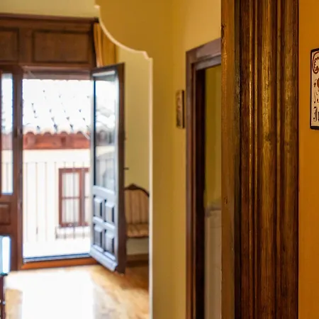 Leones - Adults Only