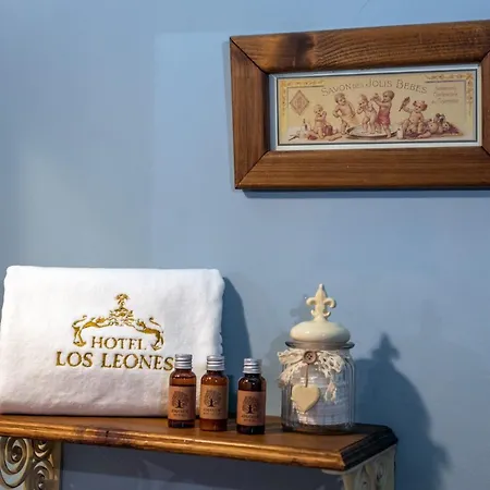 Hotel Los Leones