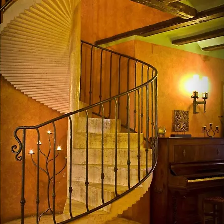 Leones - Adults Only 2*