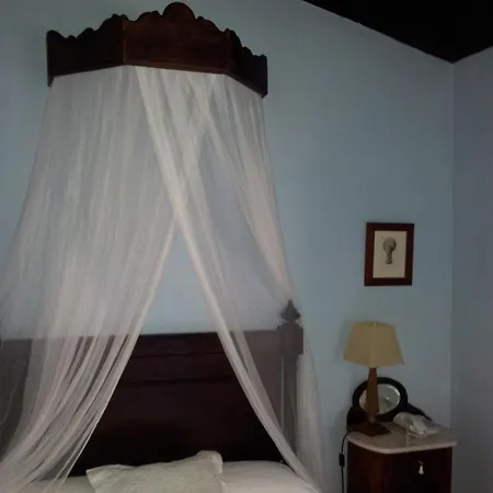 Hotel Leones - Adults Only