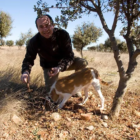 Leones - Adults Only Hotel 2*