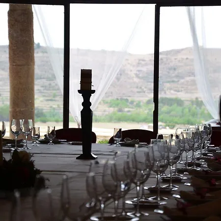 Leones - Adults Only