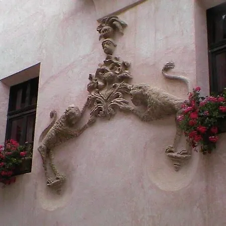 Leones - Adults Only