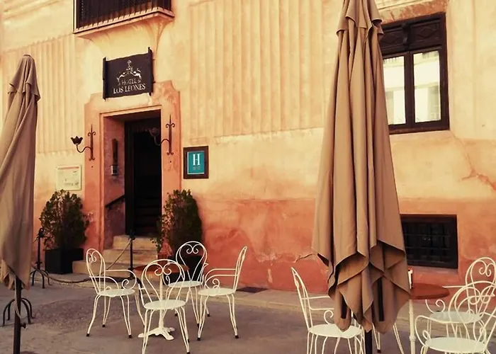 Hotel Los Leones